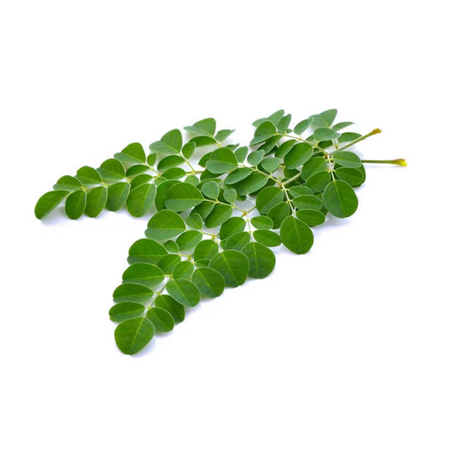 100% Pure Moringa Oleifera Powder Natural Moringa Leaf Extract 99% Moringa Leaf Powder