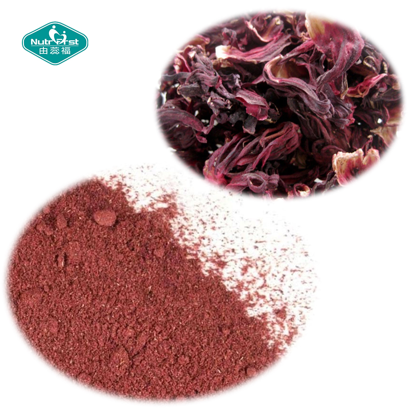 High Quality Raw Material Antioxidant Effect Hibiscus Flowers Extract 10: 1 in Bulk