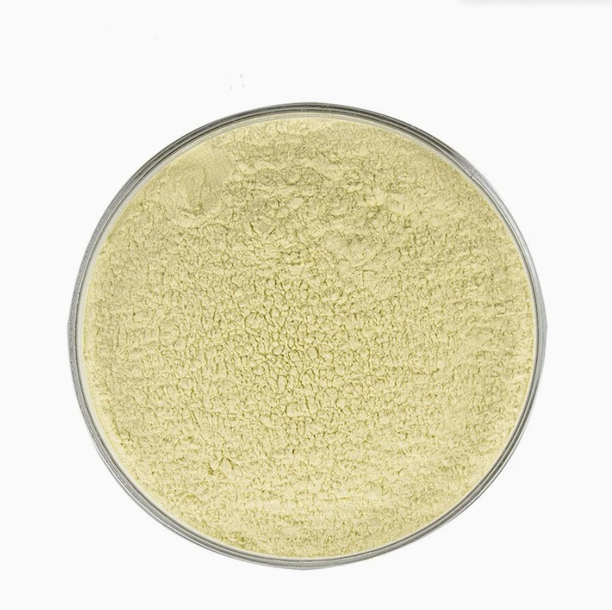Plant Extract Vegetable Powder Broccoli Extract Sulforaphane for Health Supplement