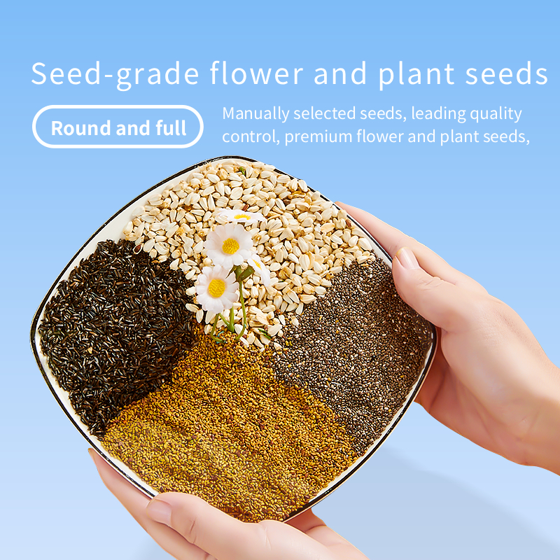 YEE Factory Wholesale Parrot Food Fruit Seed Mix Non Additive Nutrition Feed For Cockatiel Lovebird Budgie