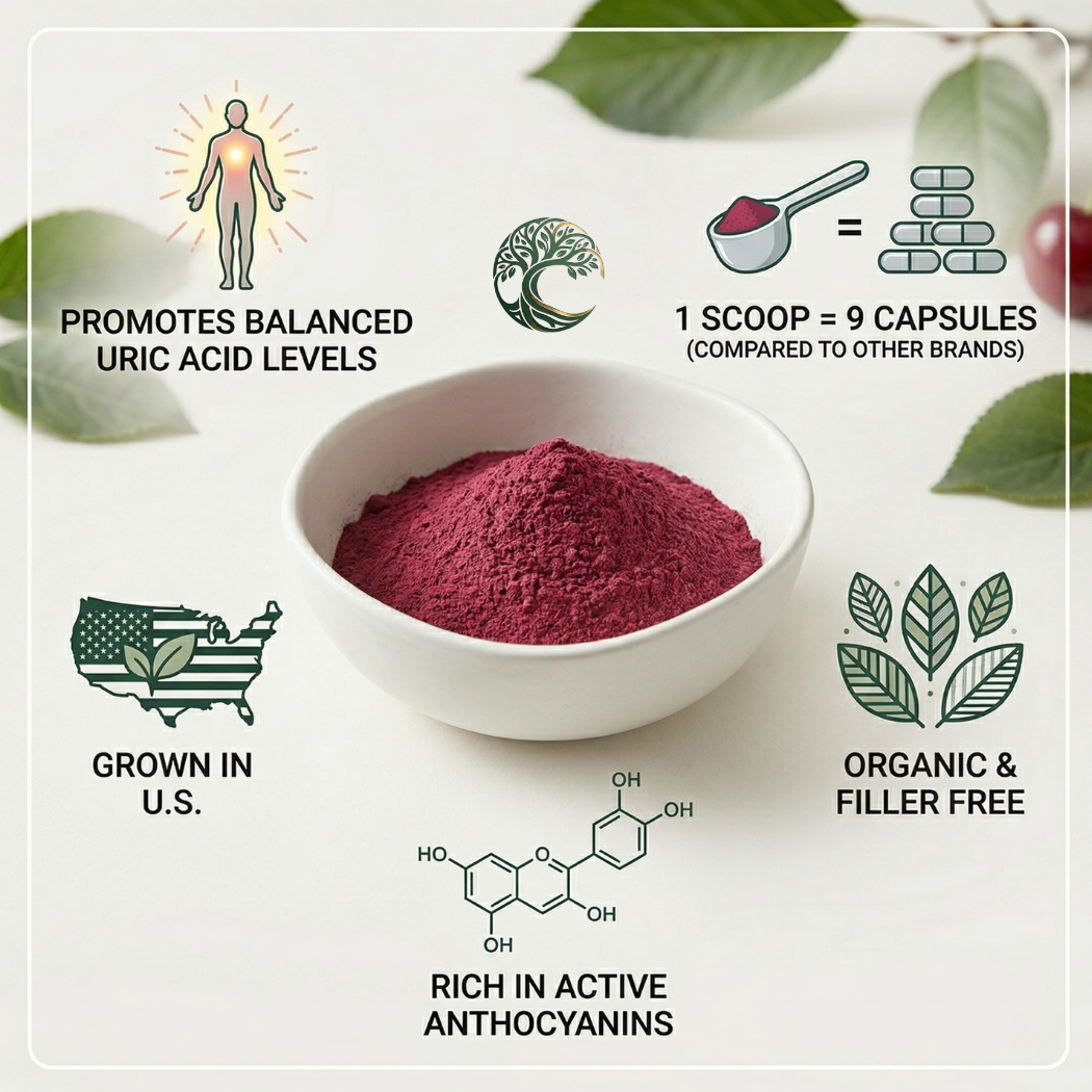 Hot Selling New Products Cold Pressed Food Grade Fruit Extract Organic Cherry Powder Vacuum Packed