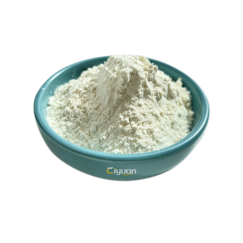 Ciyuan Factory Supply High Quality Lotus Leaf Extract
