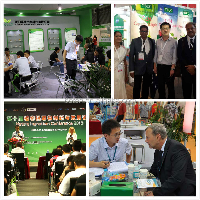 Exhibition Photo