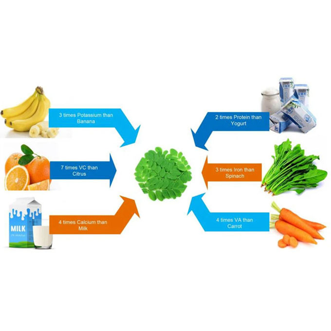 Private Label OEM Best Selling Pure Natural Moringa Leaf Powder Moringa Leaf Extract Powder for Sale