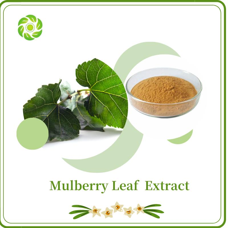 Plant Extract Food Additive Health Food Mulberry Extract Dnj 1% 5% Mulberry Leaf Extract