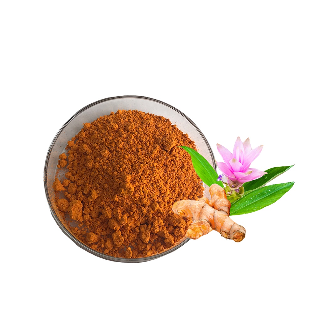 New Natural Turmeric Root Extract Liposomal Curcumin Powder 70% Active Ingredient Solvent Extracted 80 Mesh Particle Size HPLC
