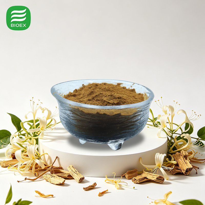 Honeysuckle Flower Extract Powder Standardized 5%-25% Chlorogenic Acid for Dietary Supplement with Free Sample