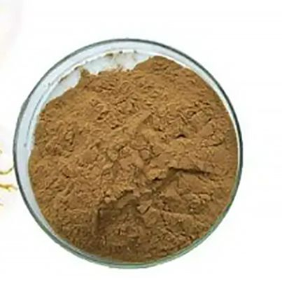 Halal Certified Gentiana Root Extract Powder Bulk Natural Gentian Root Extract 10: 1 for Nutraceutical Use