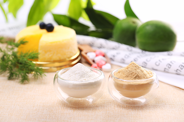 99% Pure Organic Food Grade Marine Phytoplankton Nannochloropsis Salina Powder Herb Extract Solvent for Food Supplements