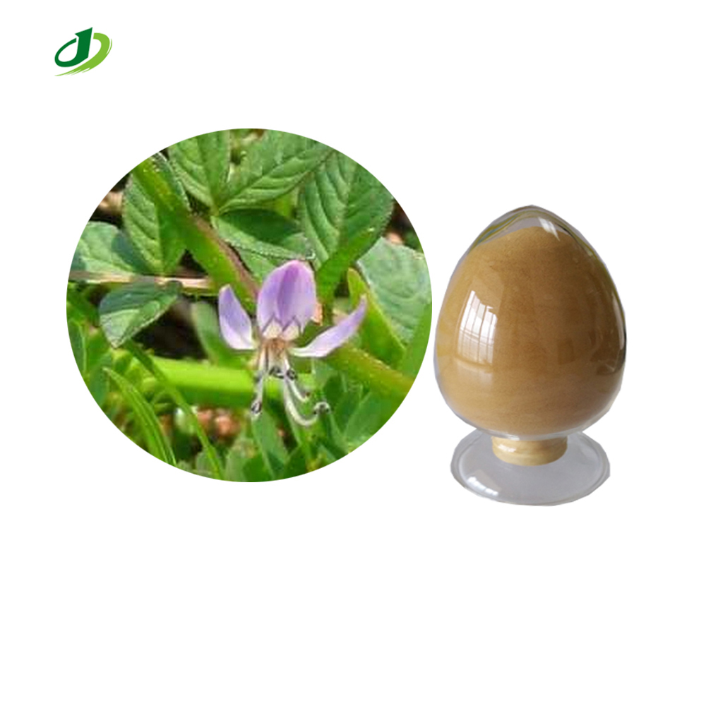 Natural Kariyt Extract Powder Common Andrographis Herb Extract by TLC 10:1