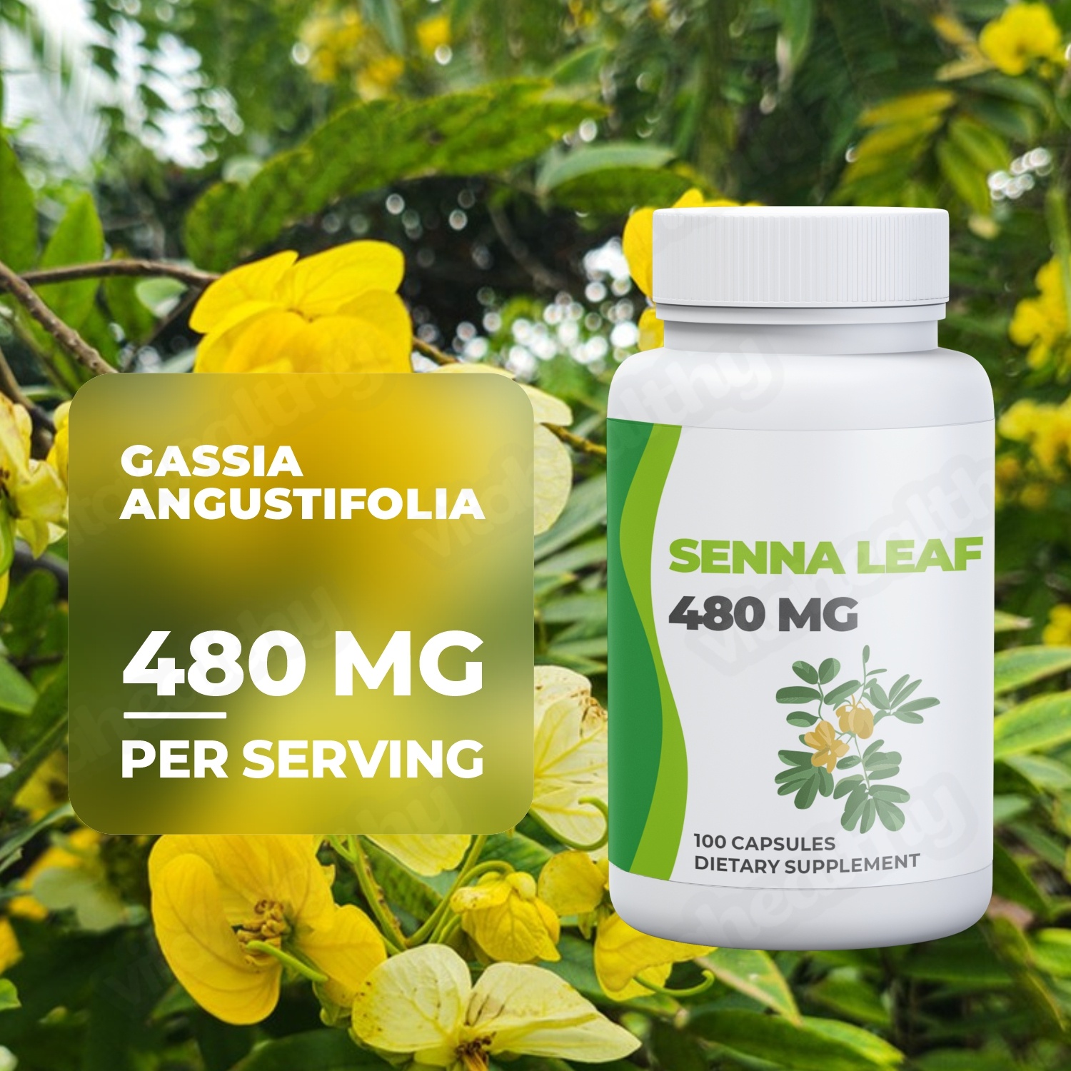 Vitahealthy OEM/ODM Factory Supply Senna Leaf Capsules 480MG Senna Leaf Extract for Body Cleanse Organic Senna Leaf Supplement