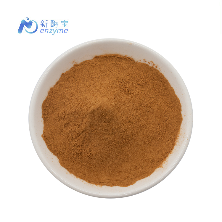 Novenzyme Wholesale Organic Cordyceps Militaris Mushroom Extract Powder