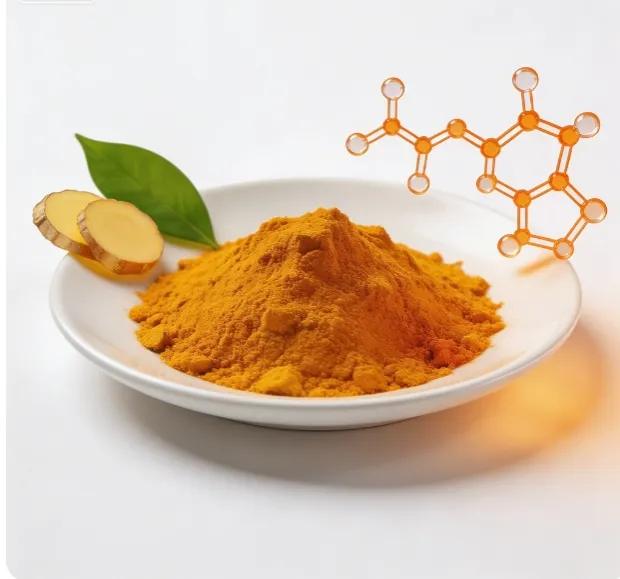 High Purity Curcumin Herbal Extract Natural Pigment Food & Feed Additive Powder