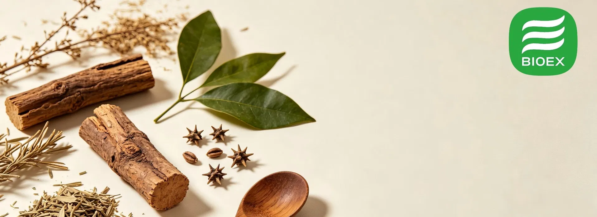 Pure Natural Jujuboside a 5% for Dietary Supplements Jujube Seed Extract