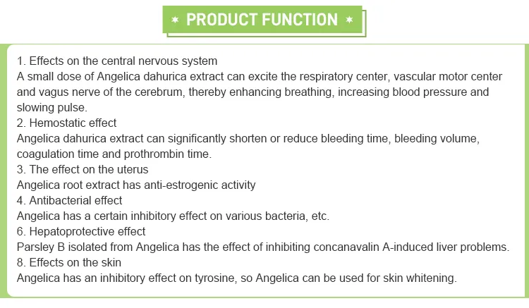 Angelica Dahurica Extract 4