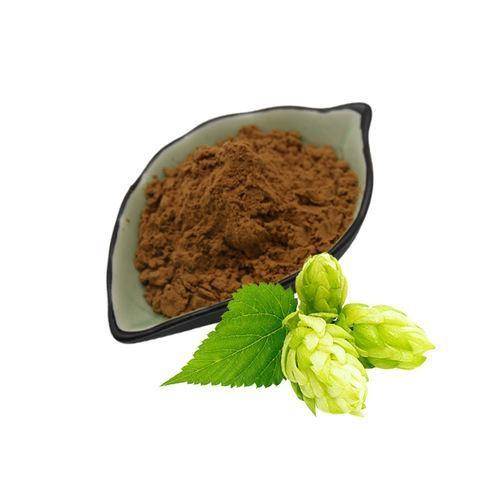 Wholesale High Quality Hops Flower Extract Powder Hops Extract 10: 1