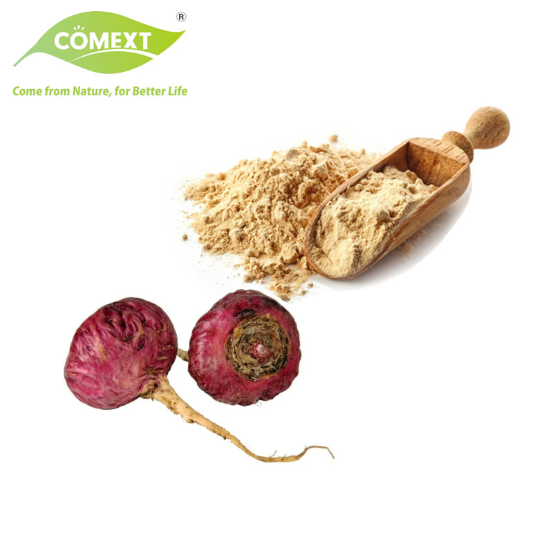 Comext China Manufacturer Free Sample USA Inventory Organic Herbal Root Powder 10: 1 0.6% Macamides Plant Red Black Yellow Maca Extract