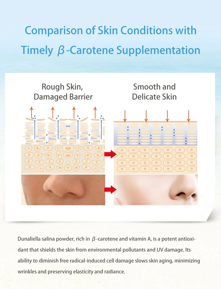 High Quality Nutraceuticals High 9-Cis 5% Beta-Carotene Extract From Dunaliella Salina