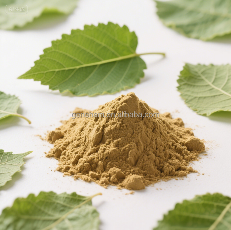 Kosher Certified 0.5% Dnj Mulberry Leaf Extract Factory Price Plant Extract