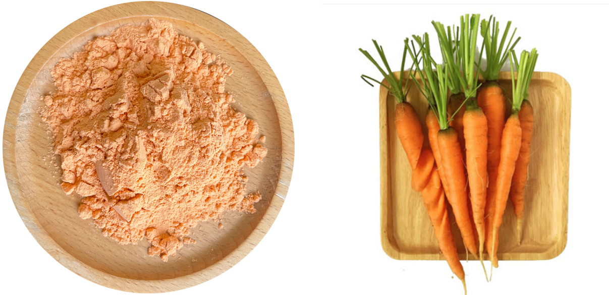 Carrot Powder Applications
