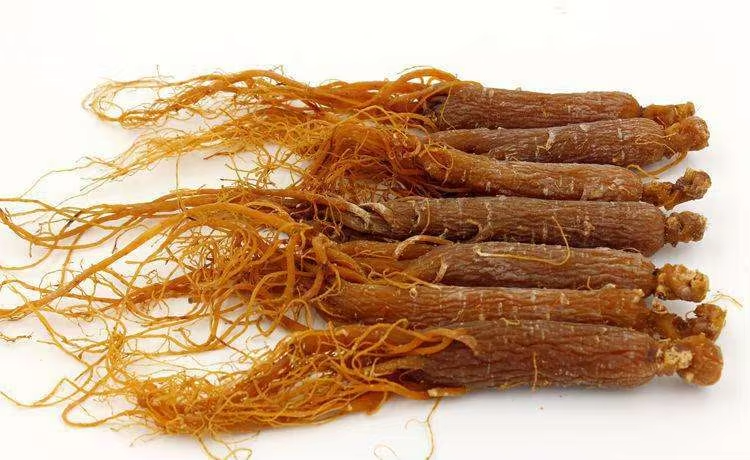 Wholesale Hot Sale Organic Korean Red Ginseng Root Extract Powder for Skin Care Healthy
