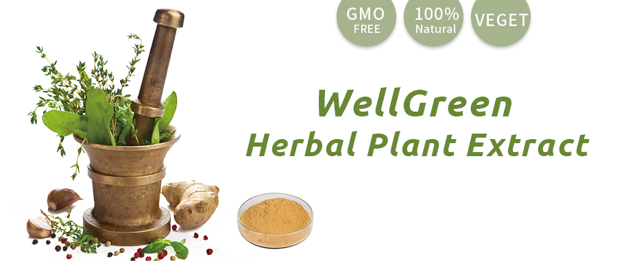 Organic Grapefruit Powder Main Image