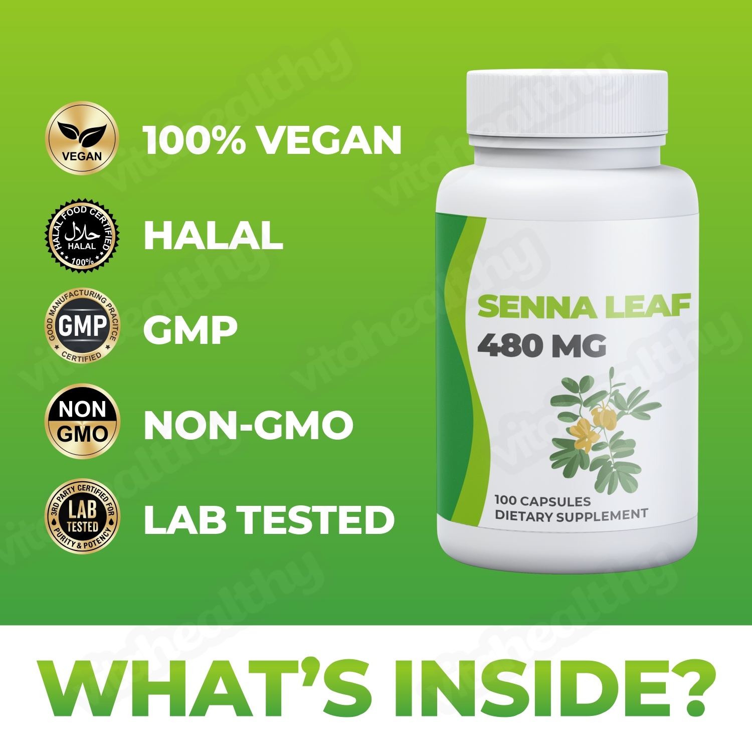 Vitahealthy OEM/ODM Factory Supply Senna Leaf Capsules 480MG Senna Leaf Extract for Body Cleanse Organic Senna Leaf Supplement