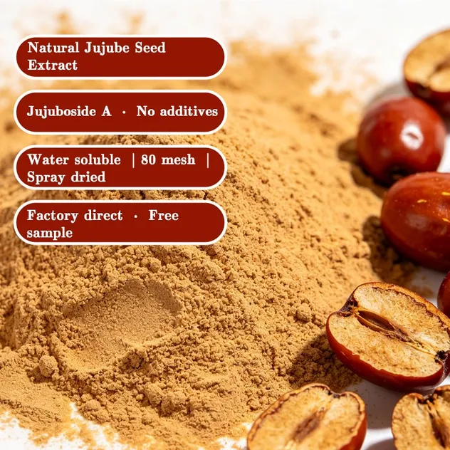Premium Jujuboside a 2% to 5% Water Soluble Jujube Seed Extract