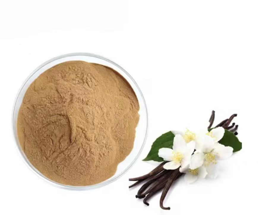 Wholesale Food Grade Herbal Extract Vanilla Extract Water Soluble Natural Pure 100% Vanilla Bean Powder Drum