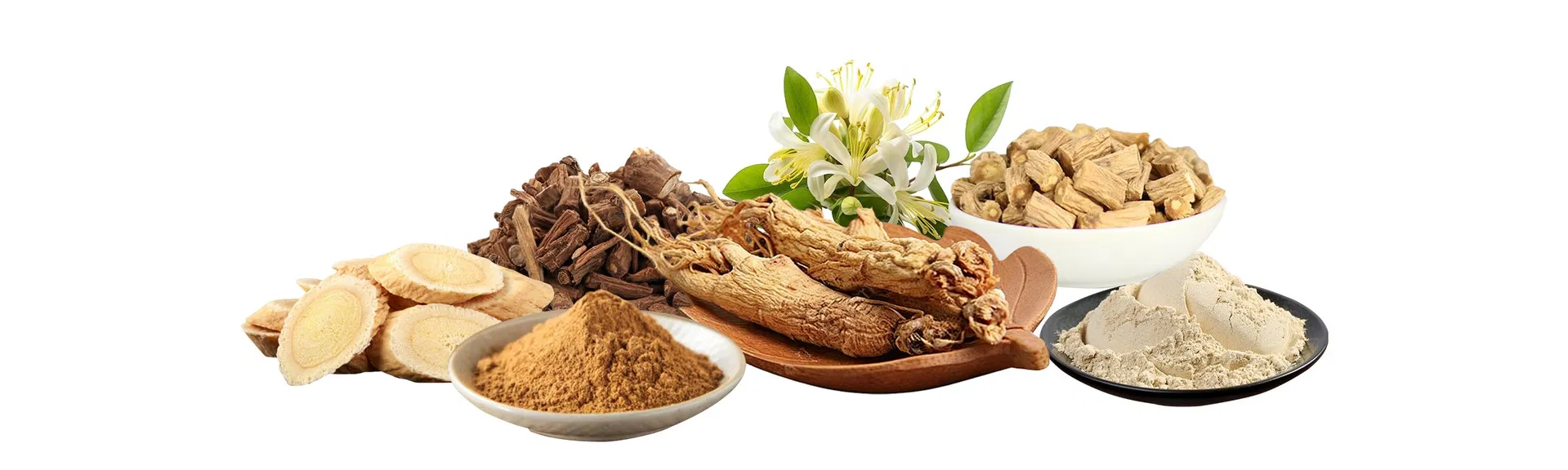 Grape Seed Extract Detail