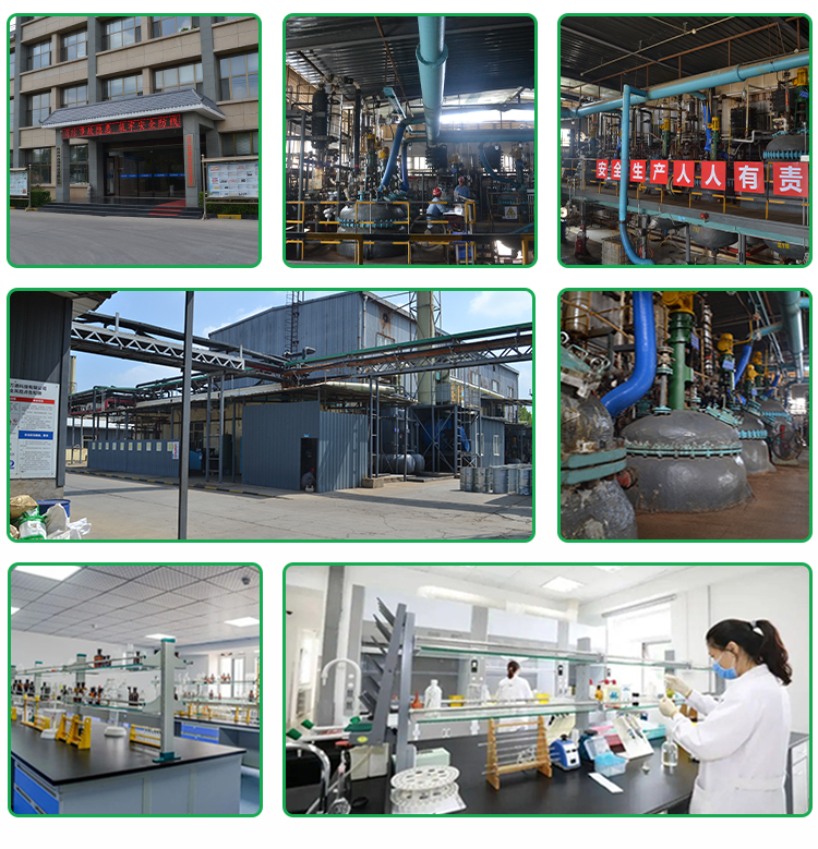 Factory Wholesale Price Natural Nymphaea Caerulea Leaf Extract 2%Nuciferine Powder Lotus Leaf Extract