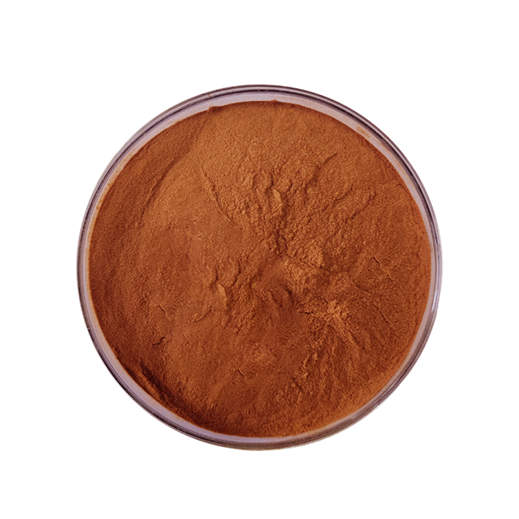 High Quality Natural 95% OPC Procyanidins Powder Grape Seed Extract Powder