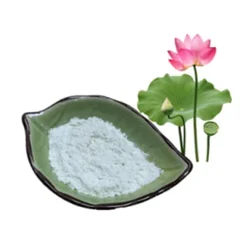 High Quality Pure Natural Lotus Leaf Extract Powder 98% Nuciferine Powder