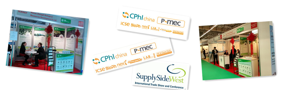 Our Services Quality