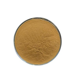 Wholesale High Quality Hops Flower Extract Powder Hops Extract 10: 1