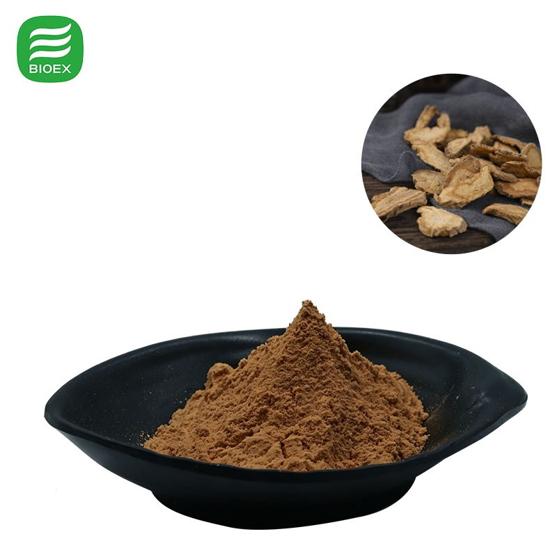 High Quality Angelica Sinensis Root Extract Standardized Ligustilide Ferulic Acid for Nutraceuticals