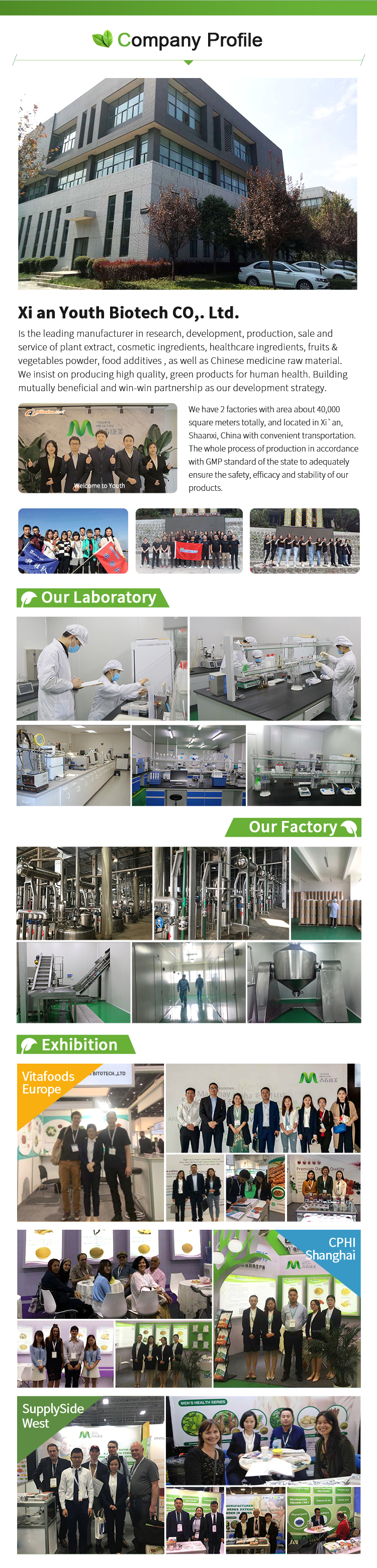 Forskolin Coleus Forskohlii Root Extract Powder Food Grade Herbal Extract HPLC Tested Drum Packaging