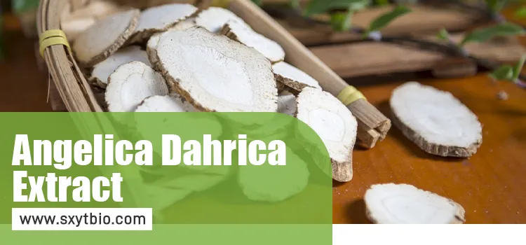 Angelica Dahurica Extract 1