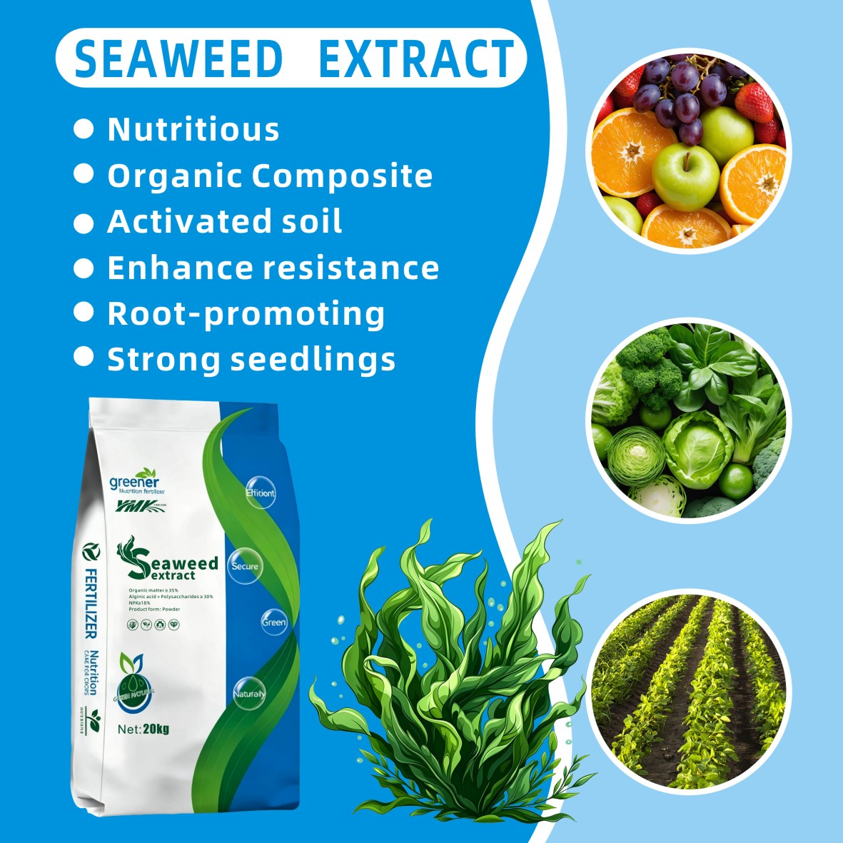 Marine Plant Extract Enzymatic Hydrolysis Seaweed Extract Powder and Granulated Fertilizer Scoop Eco Friendly Increase Yield