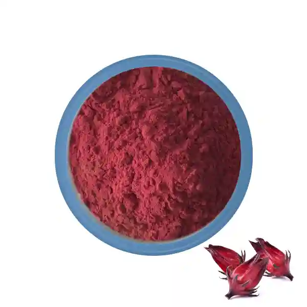 High Quality Water Soluble Roselle Powder Hibiscus Concentrate Powder/Roselle Extract Powder/ Roselle Concentrate Powder