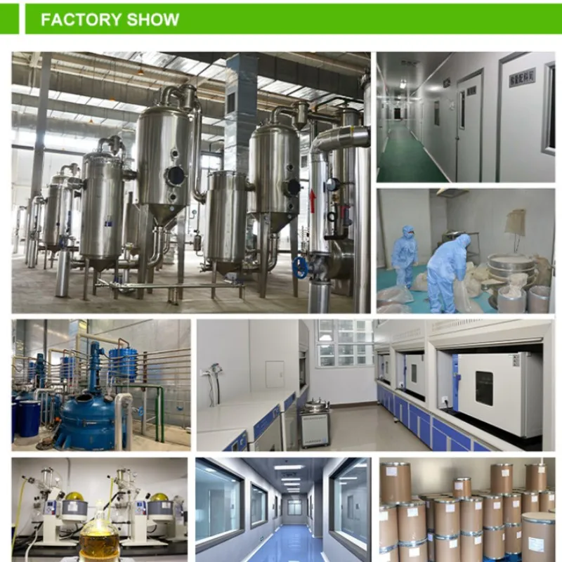 Natural Plant Extract Artichoke Leaf Extract Powder Artichoke Extract Cynara Scolymus Powder