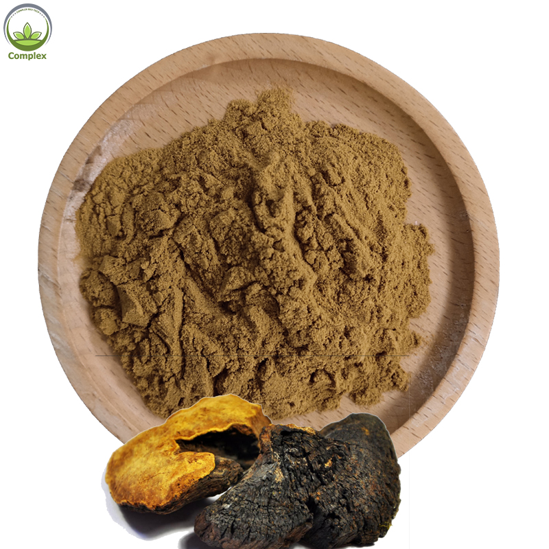 Factory sales phellinus linteus mushroom extract phellinus igniarius extract