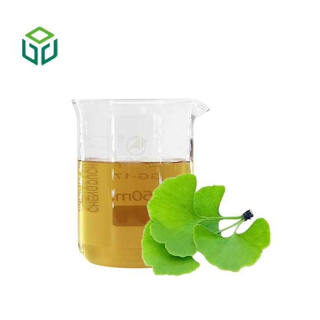 Organic Ginkgo Biloba Leaf Extract Powder Food Grade Herbal Supplement Flavonoids Terpene Lactones Solvent Extraction Drum