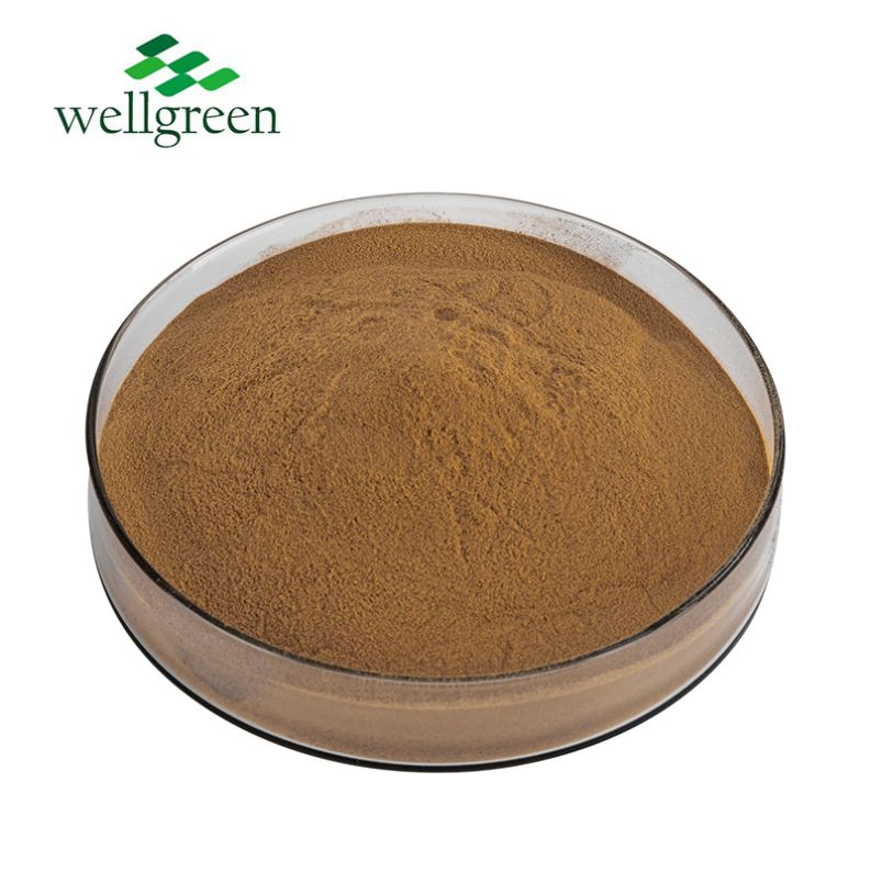 Herbal Extract Health Food White Mustard Seed Extract Powder
