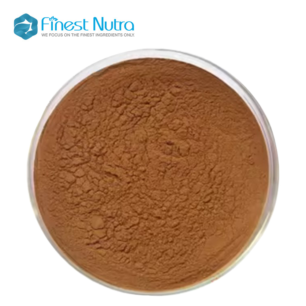 Mycelium Chanterelle Mushroom Extract 10% Polysaccharides Cantharellus Cibarius Extract Powder
