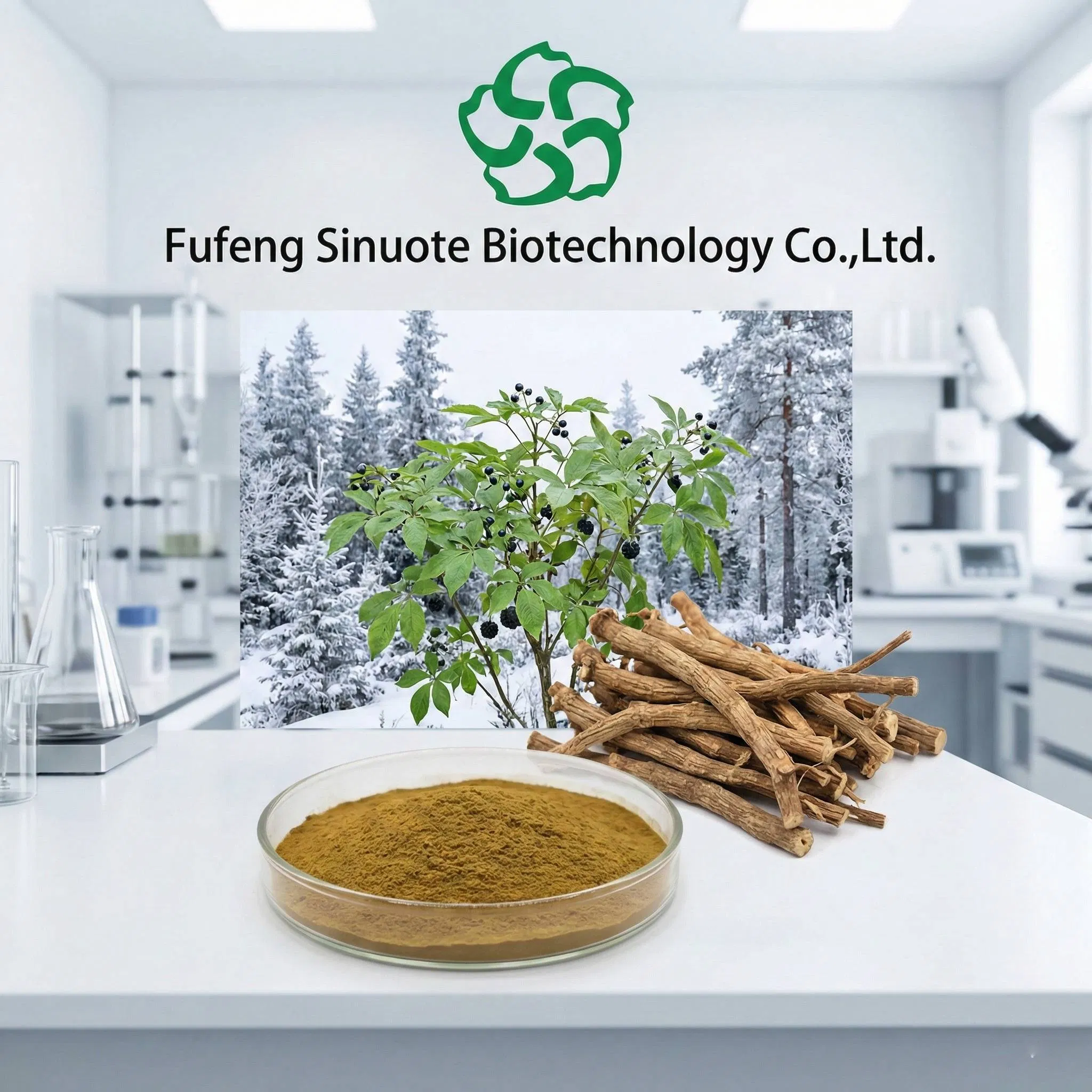 Eleuthero Extract (Eleutherococcus senticosus / Siberian Ginseng) Standardized 0.8%-1.2% Eleutherosides B+E Natural Adaptogen for Stamina &amp; Stress Resistance