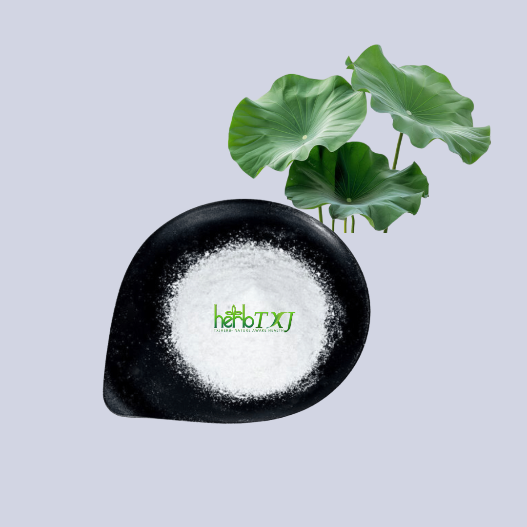 High Quality Pure Natural Lotus Leaf Extract Powder 98% Nuciferine Powder