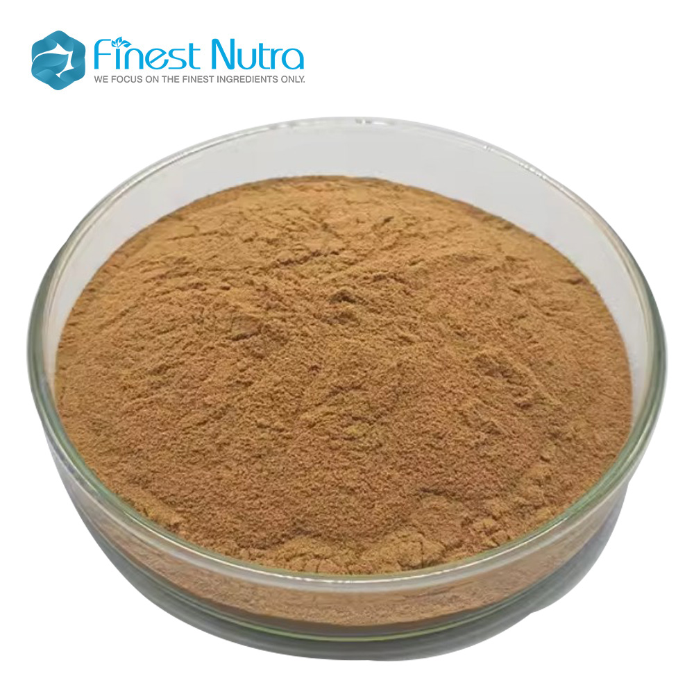 Mycelium Chanterelle Mushroom Extract 10% Polysaccharides Cantharellus Cibarius Extract Powder