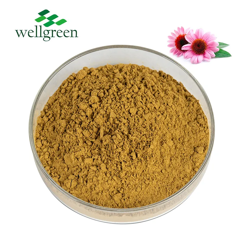 Herb Organic Plant Root Cichoric Acid 4% Powder Purpurea Echinacea Extract Detail 1