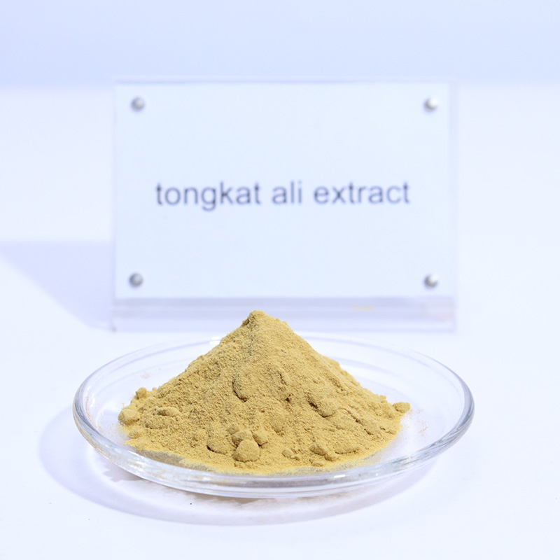 Wholesale Bulk Price 100% Natural Pure Powder 100:1 200:1 1% 2% Eurycomanone Tongkat Ali Root Extract